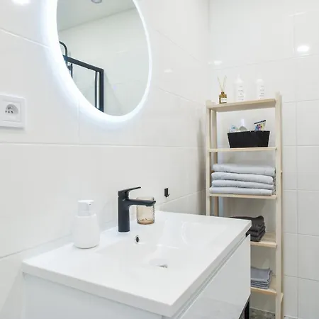 Olomouc Central Apartment 公寓 *